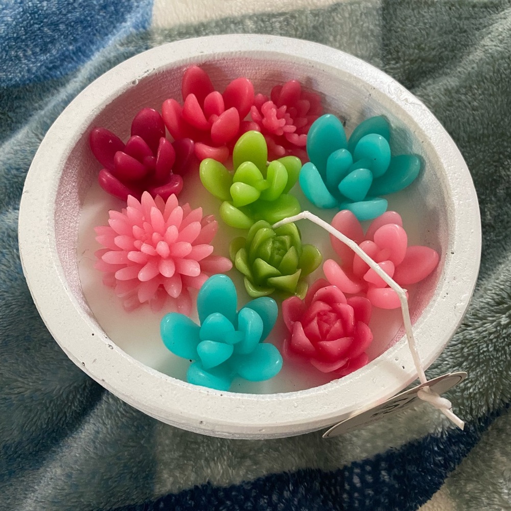 Sincerely Jules Succulent Candle